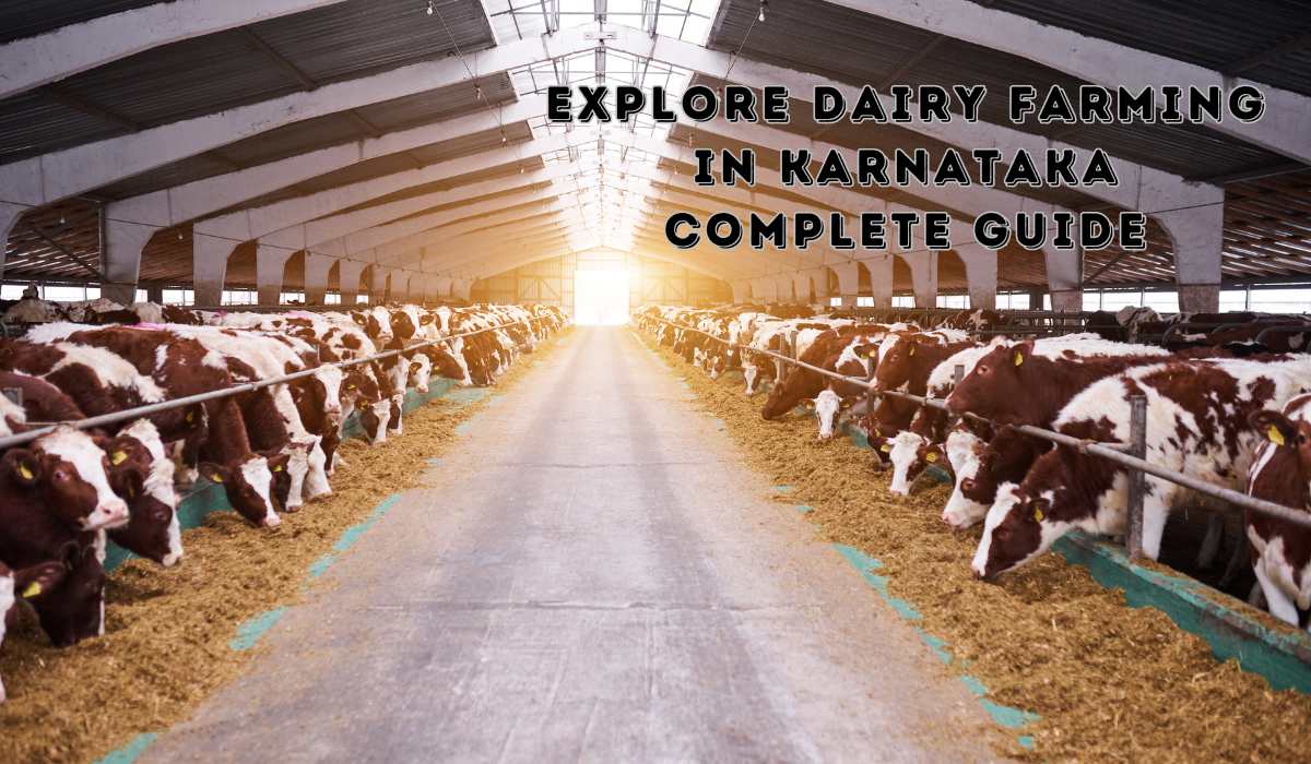 Explore Dairy Farming in Karnataka Complete Guide