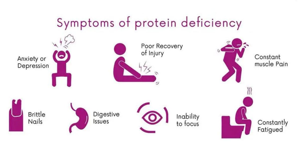 Symptoms and Signs of Protein Deficiency