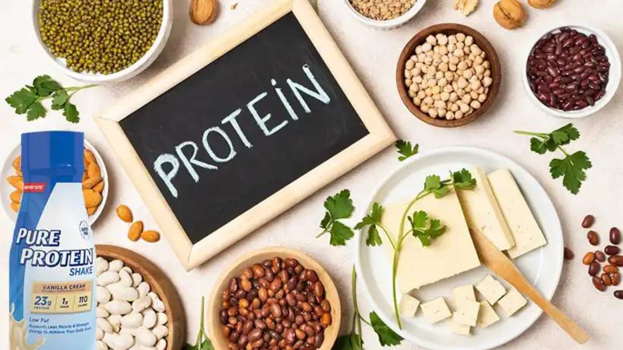 Wellhealthorganic.com Vegetarian Protein